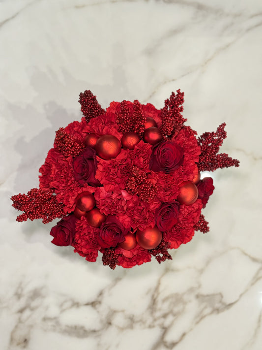 Rudolph’s Red Nose