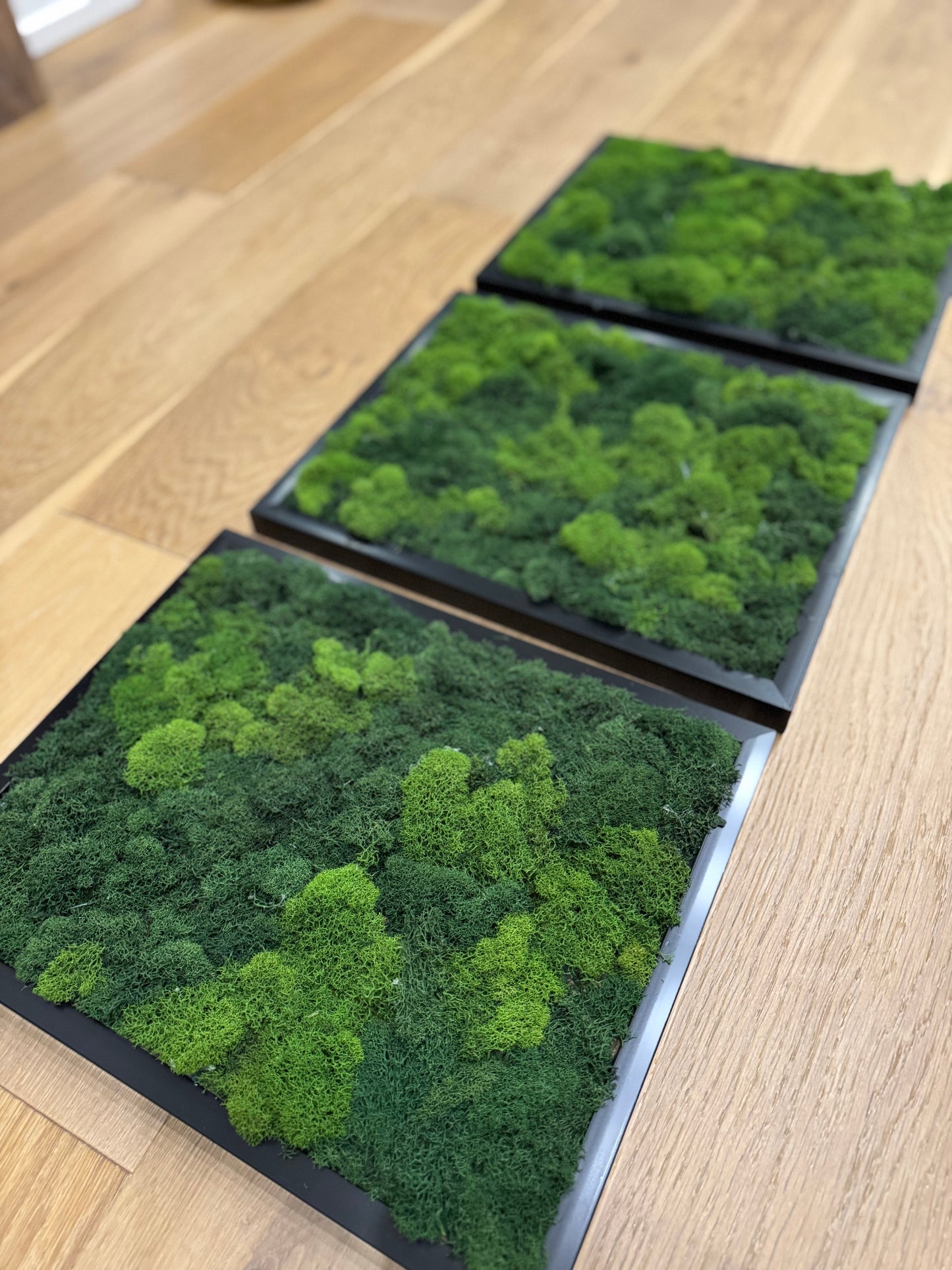 Wonderwall (Set of 3)