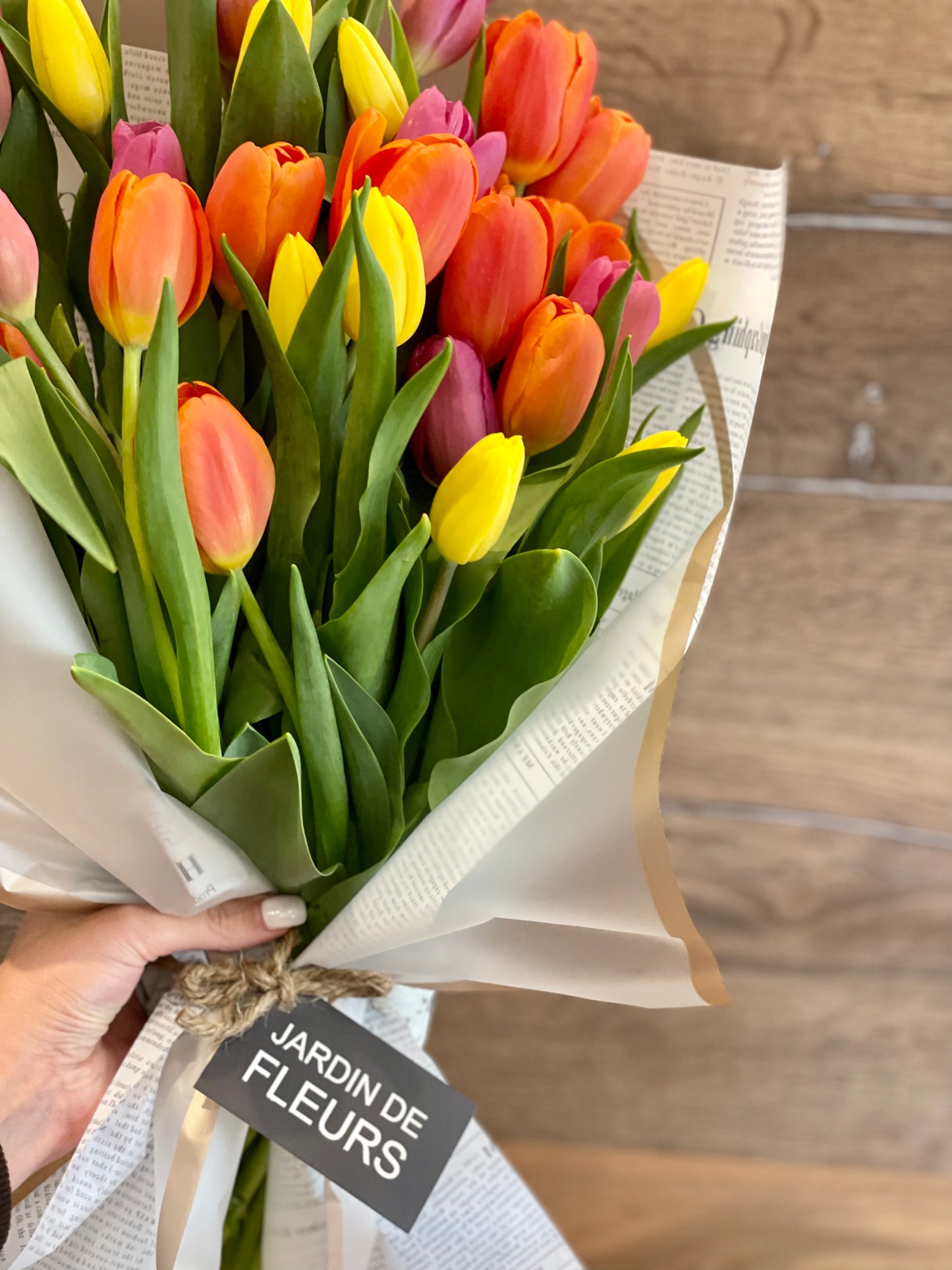 Tulip Bloom