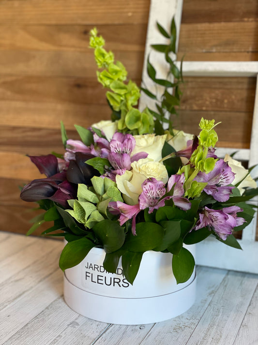 Alstroemeria Love