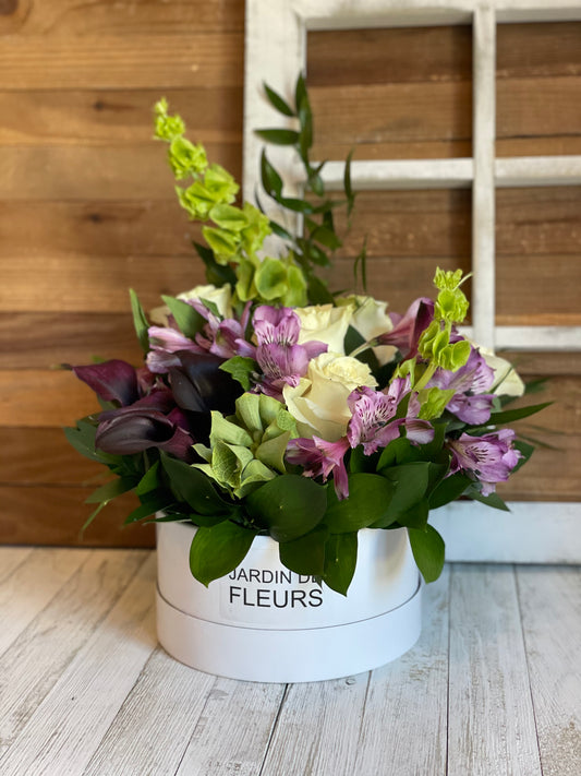 Alstroemeria Love