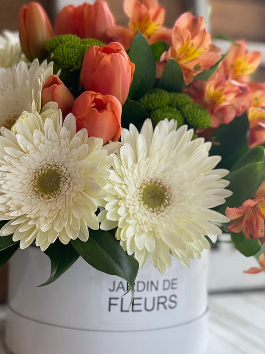 Burst of Freshness