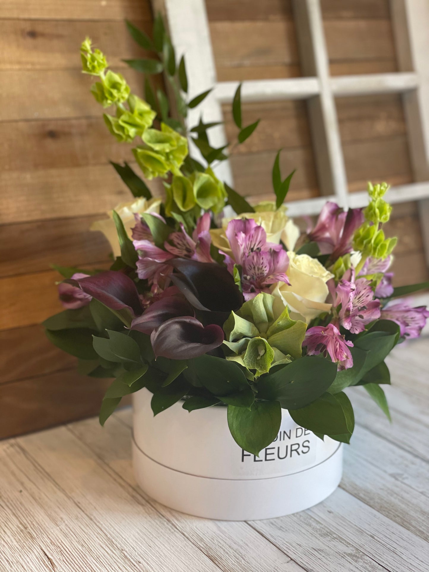 Alstroemeria Love