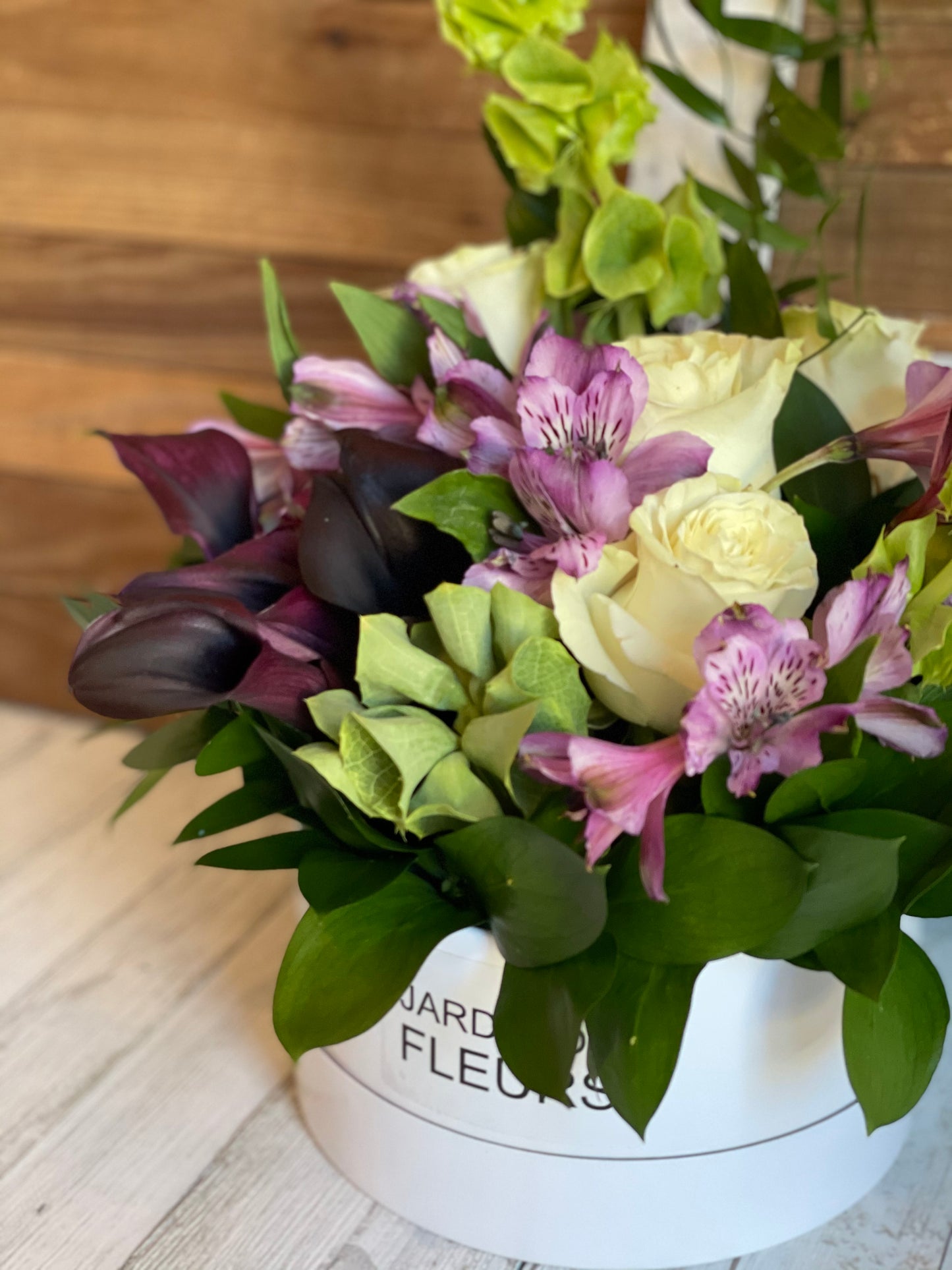Alstroemeria Love